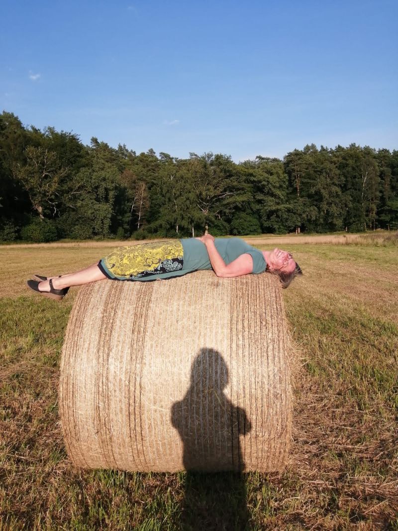 Sonnenblatt Sonnenblatt